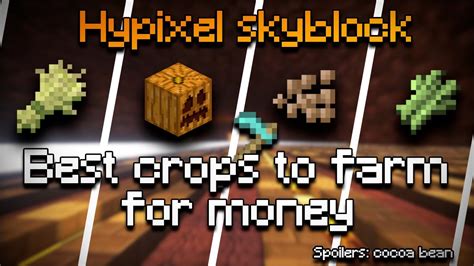 Hypixel skyblock best crop for money - Enchanted Golden ParrotsOfficer. It all depends on the gear and fortune upgrades that you've got, but everything (besides wheat and melon) are pretty close in value right now. It looks like sugar cane might be a little better. I recommend using this spreadsheet by seventinnine to see what's good for your own setup.